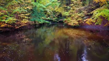 Ressam, dalgalı suyla çizimler yapar. Canlı yeşillikleri ve sakin yüzeyi olan sakin ormanlık su gövdesi.
