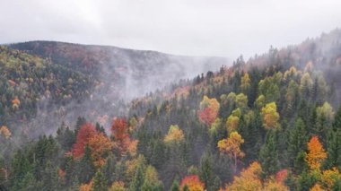 bulutlu gökyüzünün altında yumuşak yamaçlar, sakin vadi canlı ormanlar ve sürüklenen sisle çevrili.