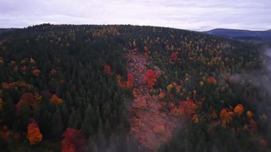Engebeli dere boyunca kırmızı ağaçlar, kıpkırmızı ağaçlar ve kayalık arazi görüntüleriyle dolu sisli bir vadi.