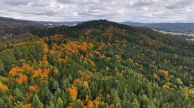 Sonbahar manzarası, yukarıdan engin sonbahar manzarası, sonbahar arazisinin geniş hava manzarası.