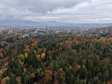 Ufuk boyunca görünen uzak şehir ile sonbahar orman kenarları, canlı tepe renkleri ve desenli ağaç çizgileri