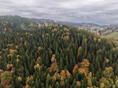 Sisli sonbahar sırtı manzarası orman örtüsünü ve bulutlu gökyüzü altında yuvarlanan tepeleri, uzak tarlaları ve katmanlı