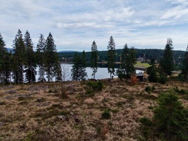 sakin su ve dağınık ladin, fundalık kaplı toprak manzaralı kırsal kabin ile çam çamı moor