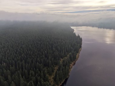 Hava sisli nehir, sık kozalaklı ağaçlar ve şafak vakti yansıtan suyla ormanda kıvrılır.