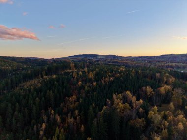 Gün batımı orman silueti.