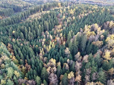 Gökyüzü ağaçlarının kenar manzarası, uzak yerleşim yerleri, arazi planlayıcısı yeşil kuşak ve tamponu değerlendiriyor, yuvarlanıyor