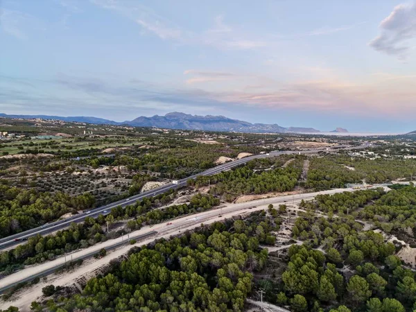 Hava karardığında sahil yolu, yumuşak pastel gökyüzü sakin denizde eriyor, çam ağacından geçen dolambaçlı bir yol.