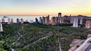 Alacakaranlıkta Uzak Kıyı Kuleleri olan Panoramik Çam Rezervi, Kanopi 'de Sarmal İzler, Yumuşak Günbatımı Parıltısı