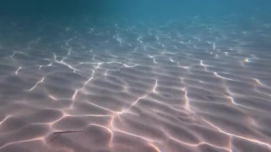 Sualtı Kumu Dalgalanmaları ve Parıldayan Nedenlerle, Yumuşak Yeşil Mavi Su, Huzurlu Deniz Yatağı Örnekleri