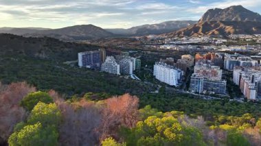 Orman tepe örtüsü banliyö binalarına ve dağ zeminine tepeden bakan, yeşil tonlarla günışığını birleştiren ağaçlar.,