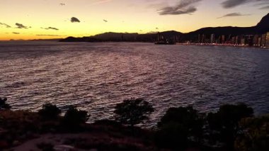 Şehir Işıkları ve Siluetli Ağaçlar, Dalgalar Koyu 'nda Dalgalanan Dalgalar, Altın