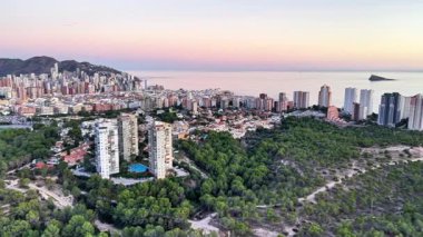 Sunrise Coastal Skyline Tepeye Bakan Orman Kuleleri ve Okyanus, Pastel Gökyüzü Yumuşak Işık Akıyor