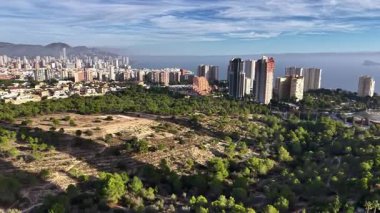 Çam ormanlı Parkland tepesi, açık çalılık ve deniz manzaralı uzak şehir silüeti ideal görünüyor.