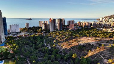 Gündüz Yeşil Kuşak Parkı Sahil Kulelerine Bakış, Şehir Planlama Açık Alan Çalışması, Ağaç Kanopi, Temizleme