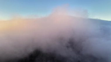 Alçak Bulutlu Dağ Tepesi Ormanı, Şafak Işığı Tepeyi Yıkarken Sis Ağaçların Arasında Titreşen Sisler Karamsar Oluyor