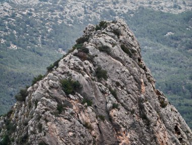 Jagged Ridge Diffuse Işığı Altında Yeşil Vadiyi Kesiyor, Keskin Kaya oluşumları Ağaçların Üzerinde Yükseliyor