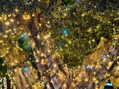 Ağ Işıklarıyla Kaplanmış Yoğun Örtüler, Örülmüş Peri İplikleri Örtülü Tavan Oluşturuyor, Altın Parıltı