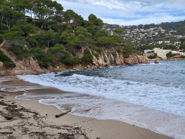 Sandy Cove Yumuşak Dalgaları Çamları Çerçeveleme Kısaltması, Yumuşak Dalgalar ve Dağılmış Dalgalar Sakin Deniz Sahnesi Oluşturdu,