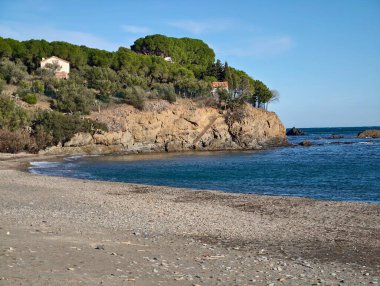 Kumlu Rocky Koyu, Uçurumun kenarındaki rüzgârlı çam ağaçları, nazik dalgalar, kıyı şeridi, sessiz
