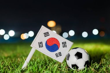Güney Kore bayrağının yanındaki futbol topu aydınlatılmış çim tarlasında geceleyin. Stadyum ışığı Bokeh dramatik uluslararası futbol turnuvası ve şampiyonluk markalaşma konsepti yarattı.