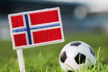 Norveç ulusal bayrağının yanında canlı yeşil stadyum çimlerinde geleneksel bir futbol topu var. Profesyonel spor ortamı uluslararası futbol turnuvasına katılım, İskandinav kimliği, ulusal gurur ve rekabetçi ruhu temsil etmektedir..