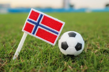 Norveç milli bayrağı profesyonel stadyum çimlerinde parlayan arena ışıklarıyla bir futbol topunun yanında, uluslararası rekabet havasını, İskandinav gücünü ve futbol geleneğini ifade ediyor.