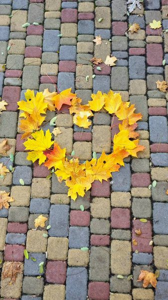 A heart made of yellow and red autumn leaves on a paving stone made of bricks of different colors next to the leaves.