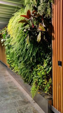 Canavarlarla, eğreltiotlarıyla, duvarlarıyla, canlı bitkilerden yapılmış yeşil duvarlarıyla, refah ve rahatlama bölgesiyle, ev dekorasyonuyla ve yeşil bölgelerle dolu kapalı bir bahçe. Yeşil bitkiler kavramı