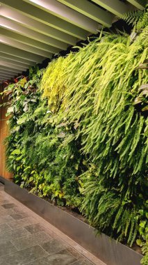 Canavarlarla, eğreltiotlarıyla, iç kısımlarda yaşayan bitkilerden yapılmış yeşil duvarlarla, refah ve rahatlama bölgesi kavramlarıyla, ev iç mimarisi ve yeşil bölgelerle ev içi bahçeleri. Yeşil bitkiler kavramı