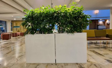 Beyaz dikdörtgen bir filizli bitkinin olduğu kapalı mekan sahnesi. Parlak yeşil yapraklar, ekicinin pürüzsüz ve modern çizgileriyle çelişiyor. İç mekan düzenlemesi