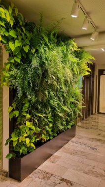 Kapalı alandaki dikey bahçe sarmaşık, canavar ve çeşitli eğreltiotları içeren yemyeşil bir alana sahiptir. Bu bitkiler yoğun bir şekilde düzenlenmiş, canlı, dokulu yeşil bir duvar oluşturuyorlar..