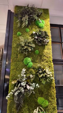 Dikey duvarda canlı yeşil yosun ve çeşitli bitkiler var. Doğal, dokulu bir etki yaratıyor. Düzenleme, yapraklı dallar da dahil olmak üzere çeşitli yeşilliklerle karışmış parlak yeşil yosun kümelerini içeriyor. Arkaplan modern olanla zıt.
