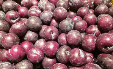 Koyu kırmızımsı mor renkte bir grup olgun erik, açık bir ışık sergiliyor, tozu açık eriklerin tipik tozu. Meyveler yuvarlak, pürüzsüz ve yoğun bir şekilde paketlenmiş, doğal ışıltılarını sergiliyorlar.