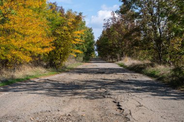 Kırsal bir yol sonbahar ağaçlarının arasında parçalı bulutlu bir gökyüzünün altında sessiz yalnızlığı ve mevsimsel değişimi çağrıştırıyor..