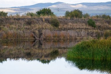 Sessiz bir sulak arazi, yumuşak, bulutlu gökyüzünün altındaki sazlıkları, çalıları ve uzak tepeleri yansıtır..