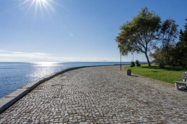 Güneş ışığıyla aydınlanan kaldırım taşı, ağaçlı ve oturaklı sakin bir rıhtım boyunca huzur içinde kıvrımlar çizer..