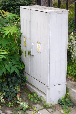 Zararlı işaretleri olan gri bir elektrik dolabı kısmen yemyeşil sarmaşık ve yapraklı bitkiler tarafından gizleniyor..