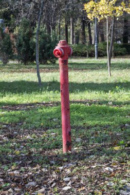 Sonbahar yaprakları ve ağaçlarla çevrili çimenli bir park alanında kırmızı bir yangın musluğu duruyor..