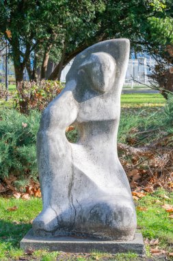 Oturmuş bir figürün pürüzsüz, soyut taş heykeli ağaçların, çalıların ve düşmüş yaprakların arasında duruyor..