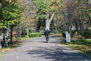 Huzurlu bir sonbahar parkında ağaçlık bir yolda bisiklet süren bir insan..