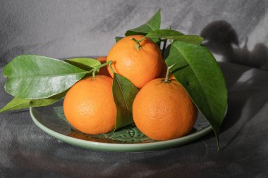 Yeşil yapraklı dört canlı mandalina yumuşak, siyah bir arkaplana karşı yeşil bir tabakta dinleniyor..