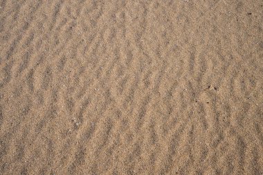 Dalgalanan kum dokusunun yüksek açılı yakın çekim görüntüsü, rüzgar veya su tarafından oluşturulan karmaşık dalga desenlerini gösterir.