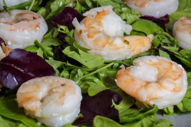 Karışık yeşil ve kırmızı salata yapraklarından oluşan bir yatağın üzerine yerleştirilmiş lezzetli pişmiş karides üzerine odaklanmış taze bir deniz ürünleri salatası..
