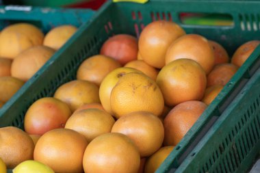Sırayla dizilmiş taze portakal ve sarı elmalarla dolu yeşil plastik kasalar büyük ihtimalle bir markette ya da markette..