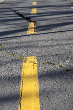 Kırık gri asfalt yolda büyük bir yarık tarafından kırılan sarı bir çizgi var. Yüzeyde uzun ağaç gölgeleri var..