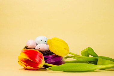 Pastel benekli Paskalya yumurtalarıyla dolu küçük bir dal yuvası canlı kırmızı, sarı ve mor lalelerin arasına yerleştirilmiş..