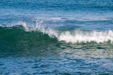 Mavi deniz yüzeyinde yuvarlanırken beyaz köpüğe dönüşen yükselen bir okyanus dalgası..