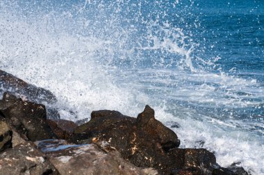 Karla kaplı kayalara çarpan bir dalga ıslak kumlu zeminin üzerine yüksek miktarda beyaz köpük püskürtüyor..