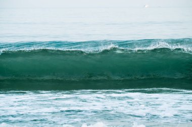 Bir deniz mavisi-yeşil dalga kıvrılıyor ve beyaz köpüklere karışıyor. Soluk, puslu bir gökyüzünün altında kıyıya yaklaşıyor..
