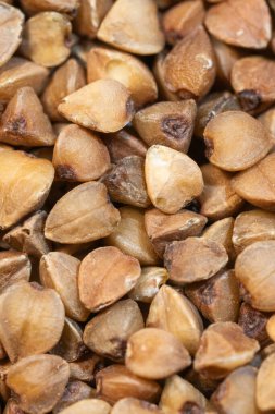 Çiğ karabuğday ahşaplarının dokusu, manzarayı topraksı kahverengi tonlarıyla ve geometrik şekilleriyle doldurur..